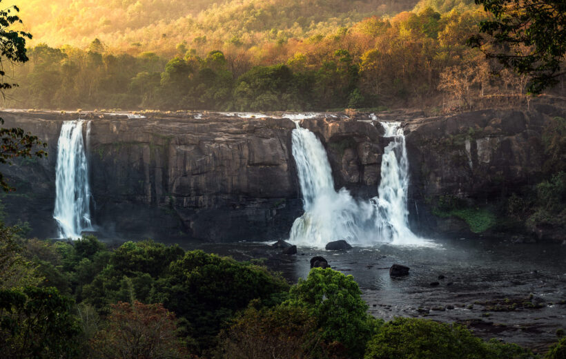 Athirappilly Day Trip from Kochi